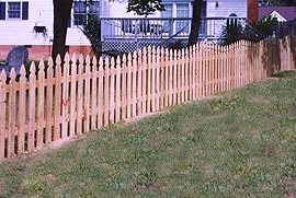 Picket Fence