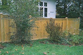 Privacy Fence